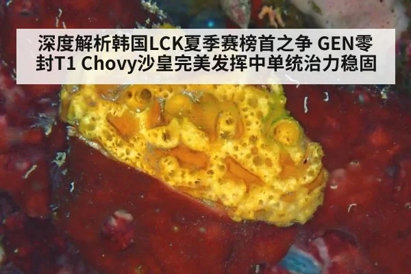 深度解析韩国LCK夏季赛榜首之争 GEN零封T1 Chovy沙皇完美发挥中单统治力稳固
