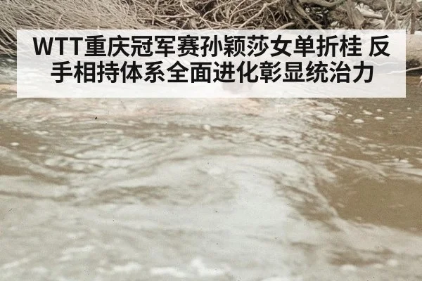 WTT重庆冠军赛孙颖莎女单折桂 反手相持体系全面进化彰显统治力
